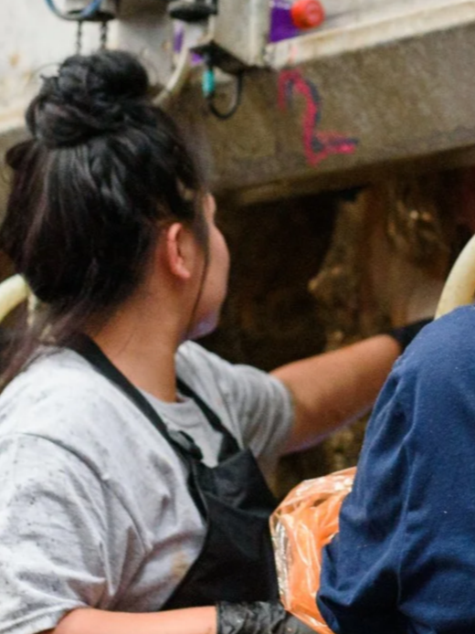 A Workforce Fix for Dairy