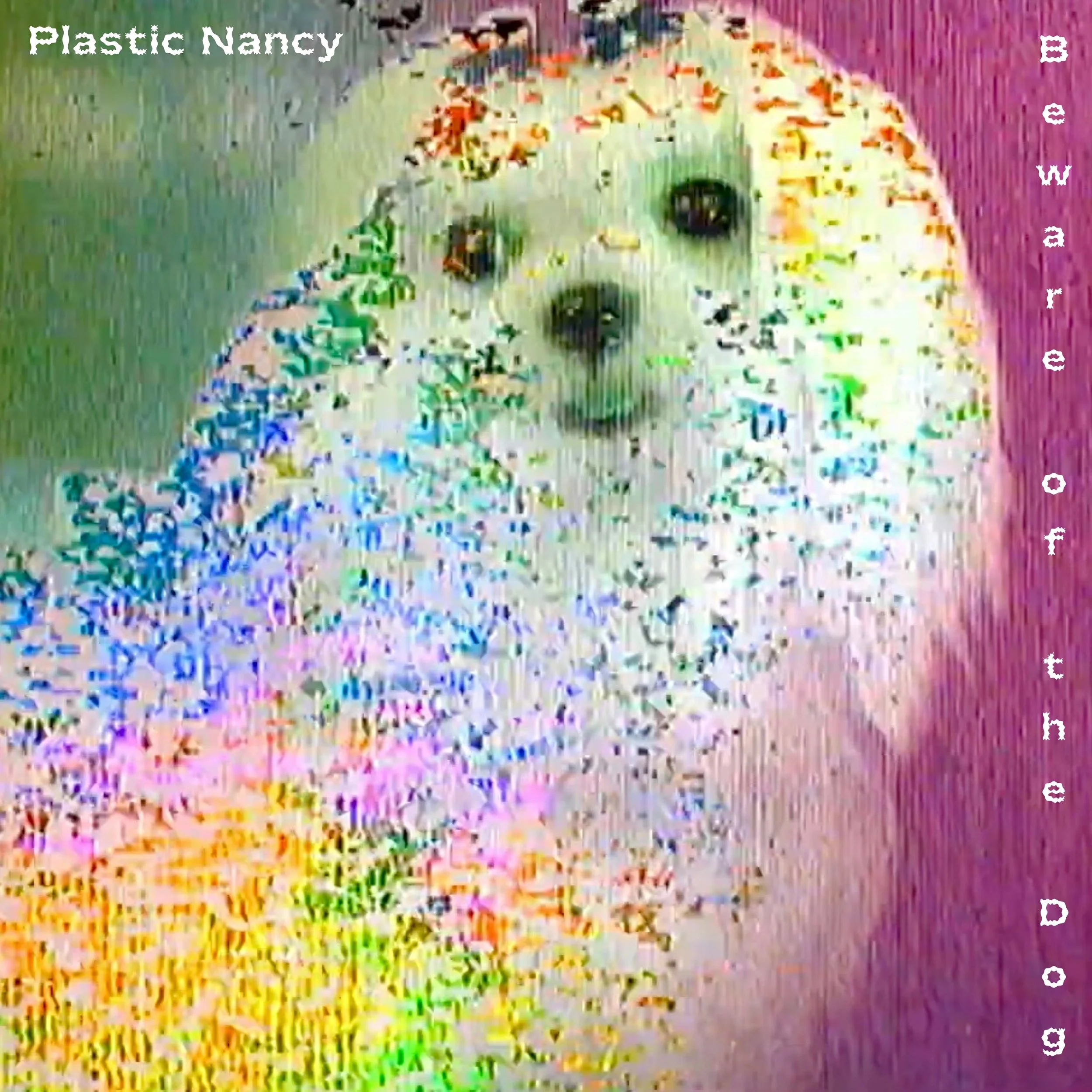 stream plastic nancy’s new single "beware of the dog"