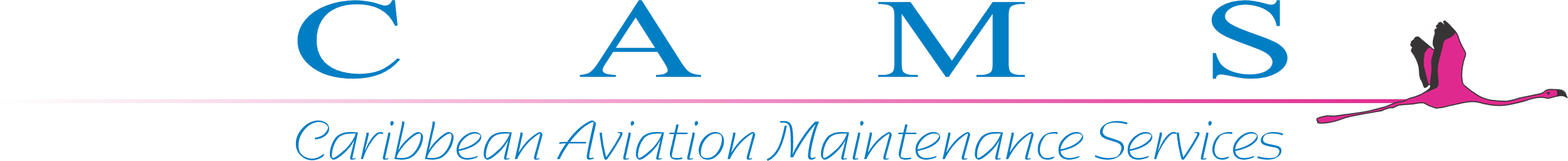 Caribbean Aviation Maintenance Services Logo