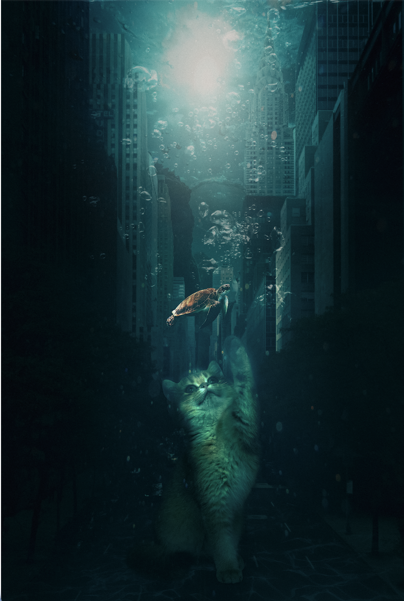 A cat swimming underwater between tall city buildings with a turtle swimming above it and sunlight shining through the water.