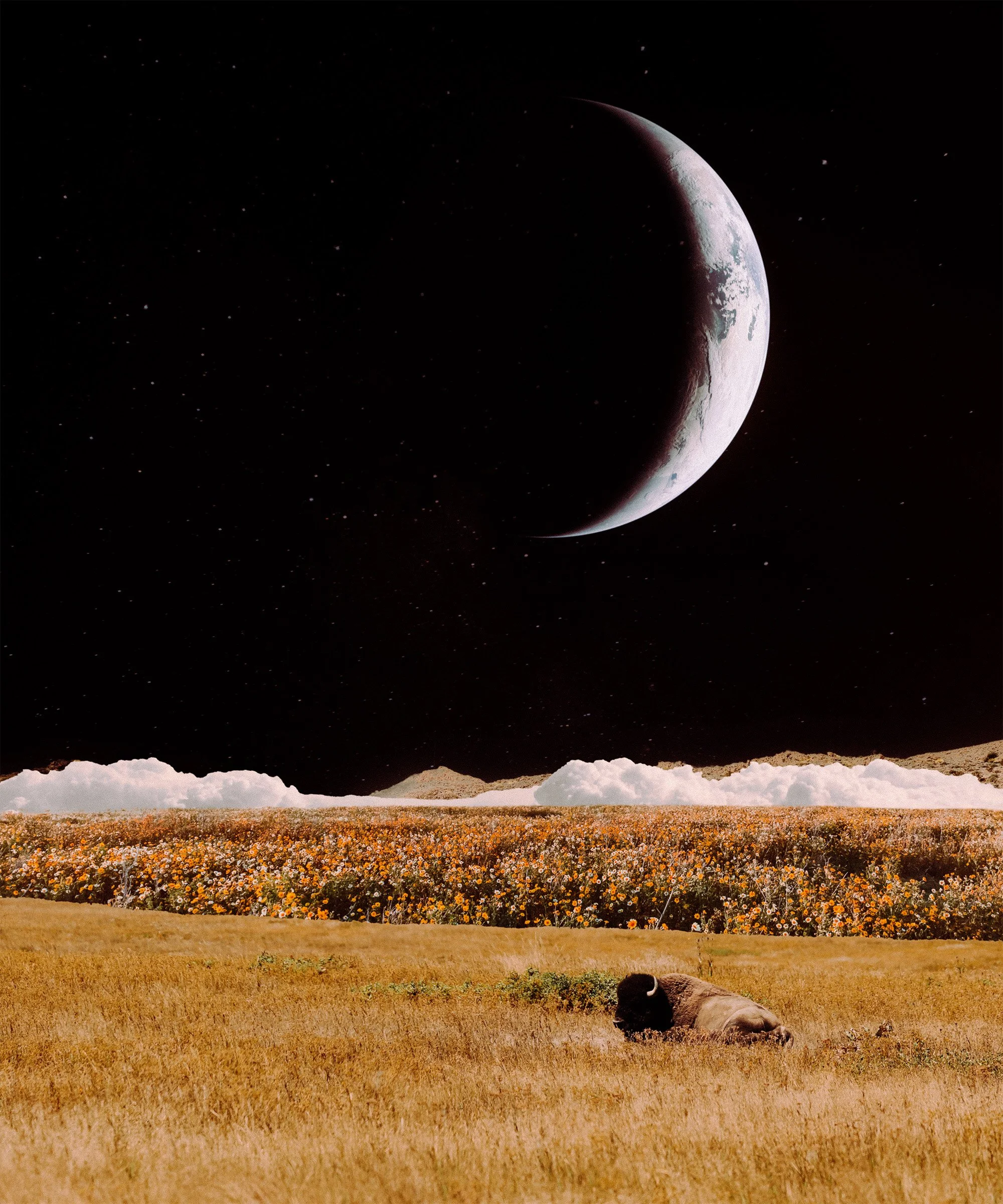 A surreal landscape combining elements of space and Earth. The foreground shows a grassy field with a resting sheep. The middle ground features a flower-covered plain and a bright white cloud formation. In the background, there is a view of Earth with visible continents and cloud patterns, set against a star-filled sky. Above, a crescent Moon floats in space.