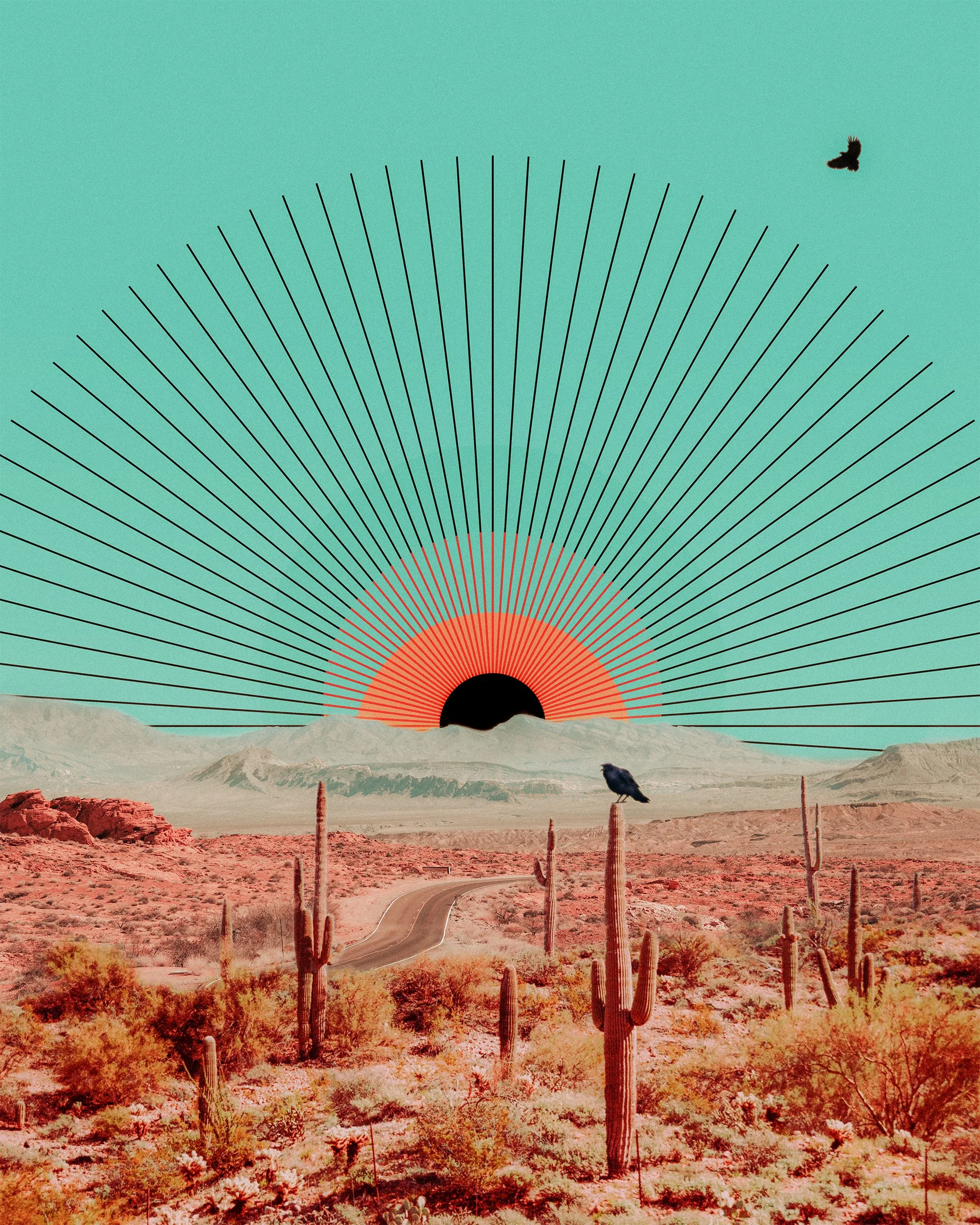 A desert landscape with a winding road, numerous cacti, mountains in the background, a bird flying in the sky, and a digitally illustrated sun with radiating lines near the horizon.