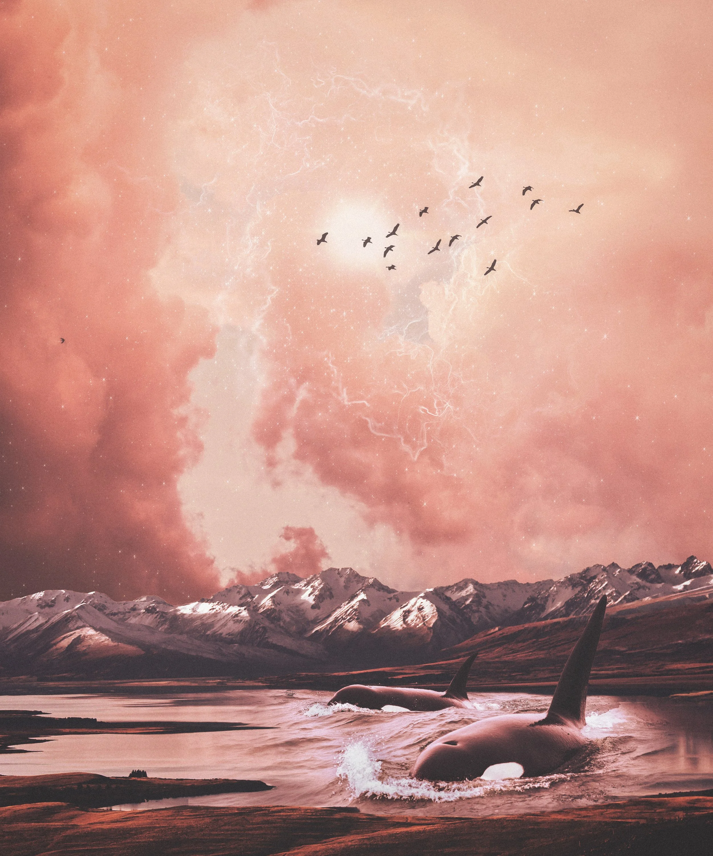 Tidal Memory.jpg