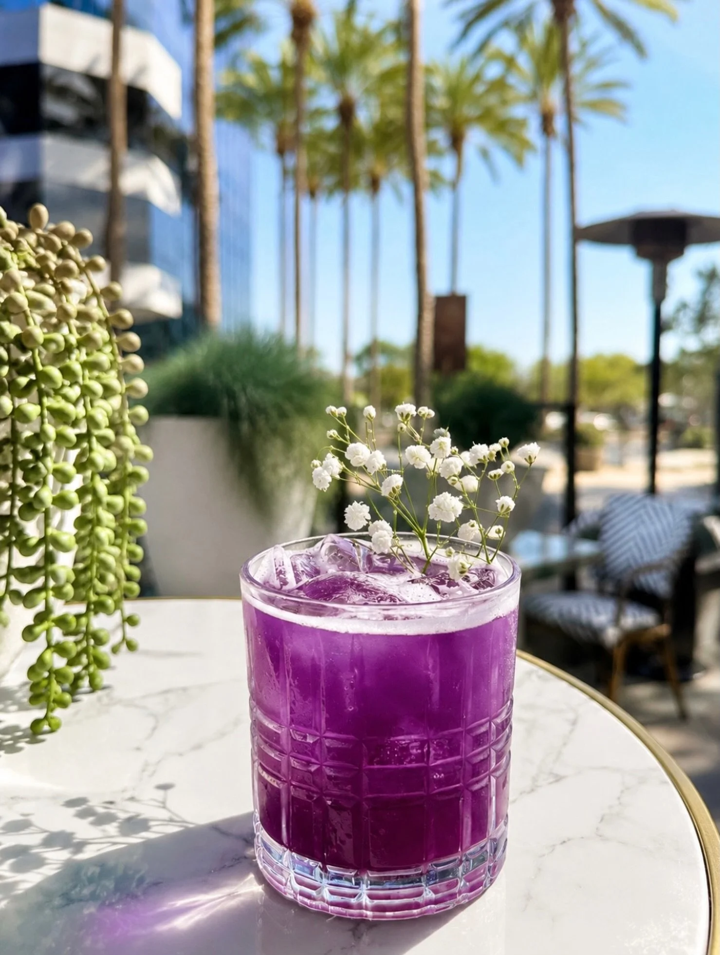 🦋 A little lavender. A touch of honey. A butterfly effect.

Meet our newest summer cocktail: The Butterfly Effect &mdash; chamomile infused tequila, lemon, lavender syrup, and B&auml;renj&auml;ger honey liqueur. Available now in Benny &amp; Mary&rsq