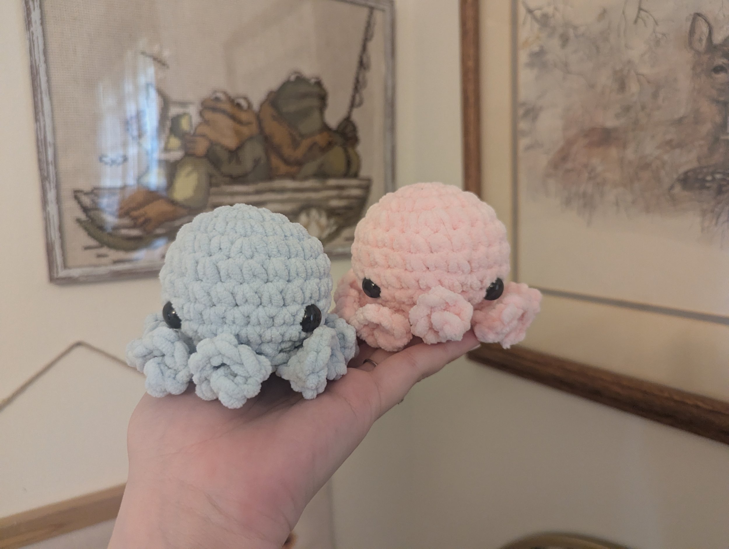 octopus