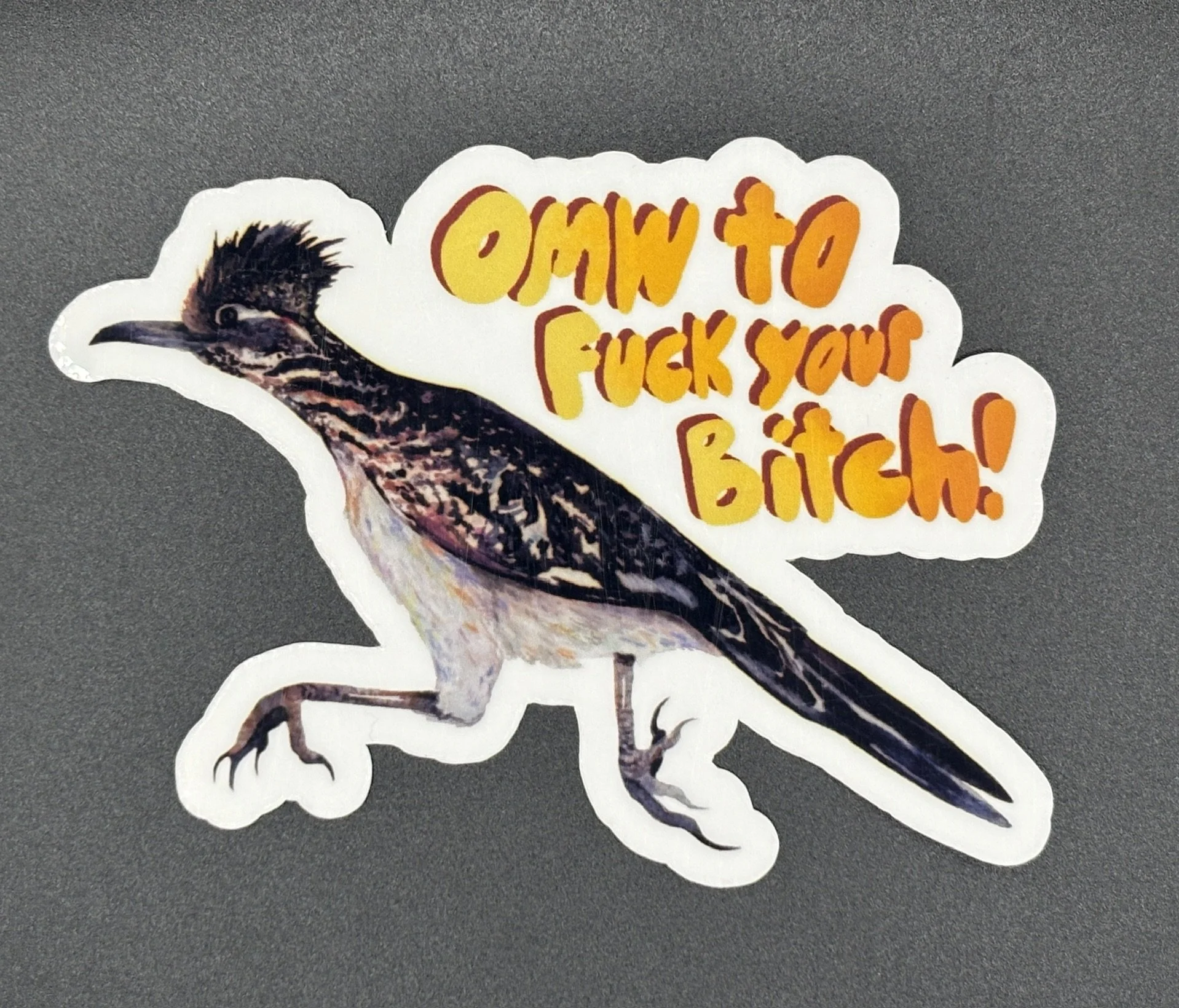 OMW to Fuck Your Bitch!