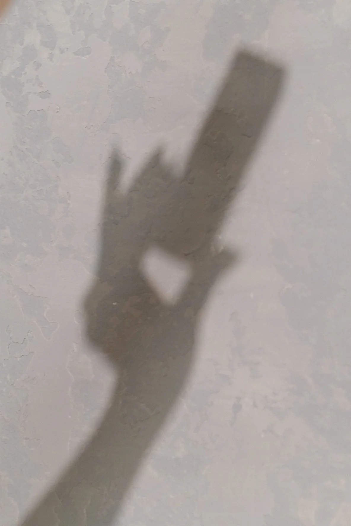 Shadow of a hand with two fingers raised against a textured wall.