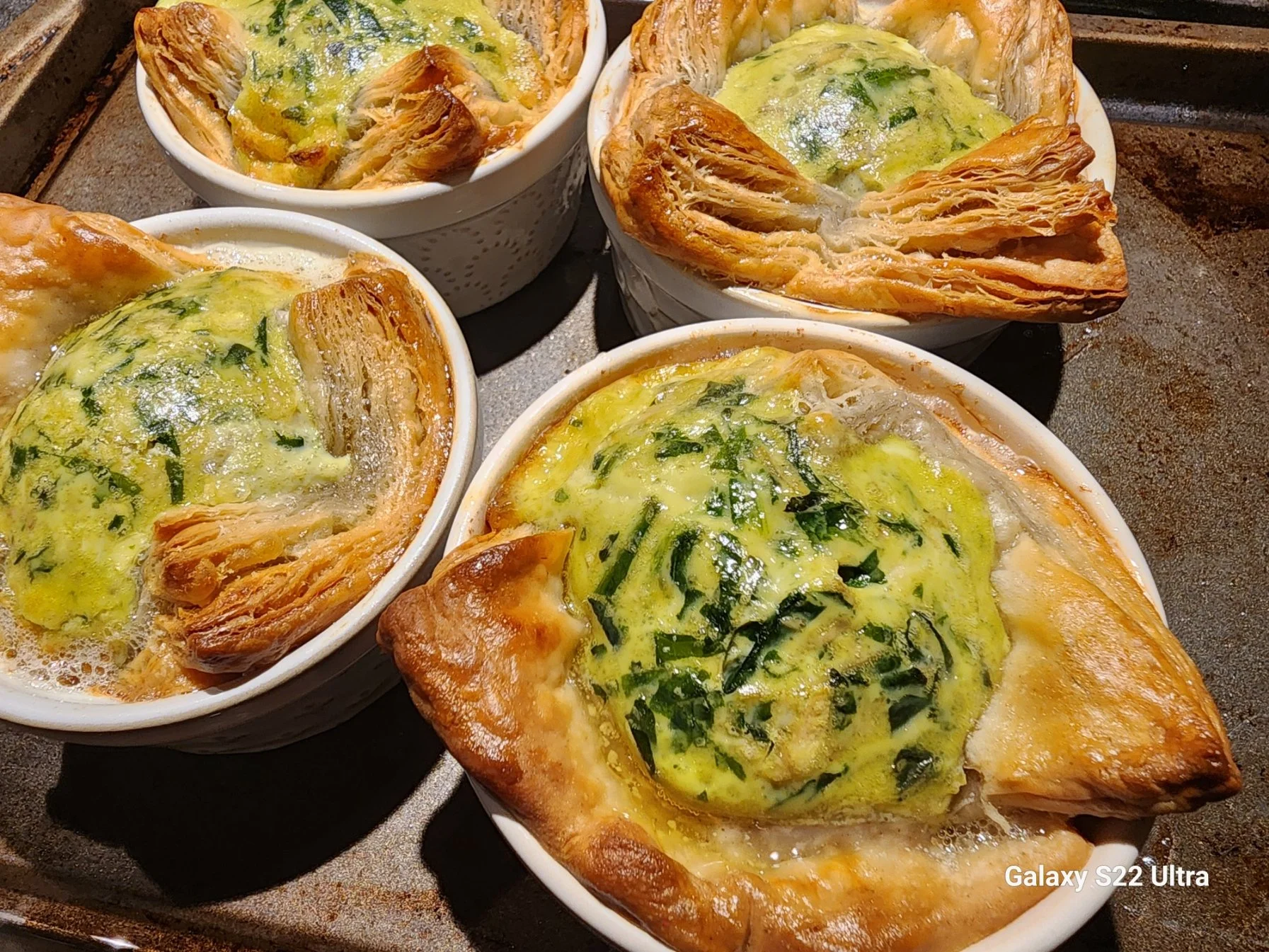 Four ramekins of salmon en croûte baked with a cheese and herb topping, garnished with chopped herbs, on a baking sheet.