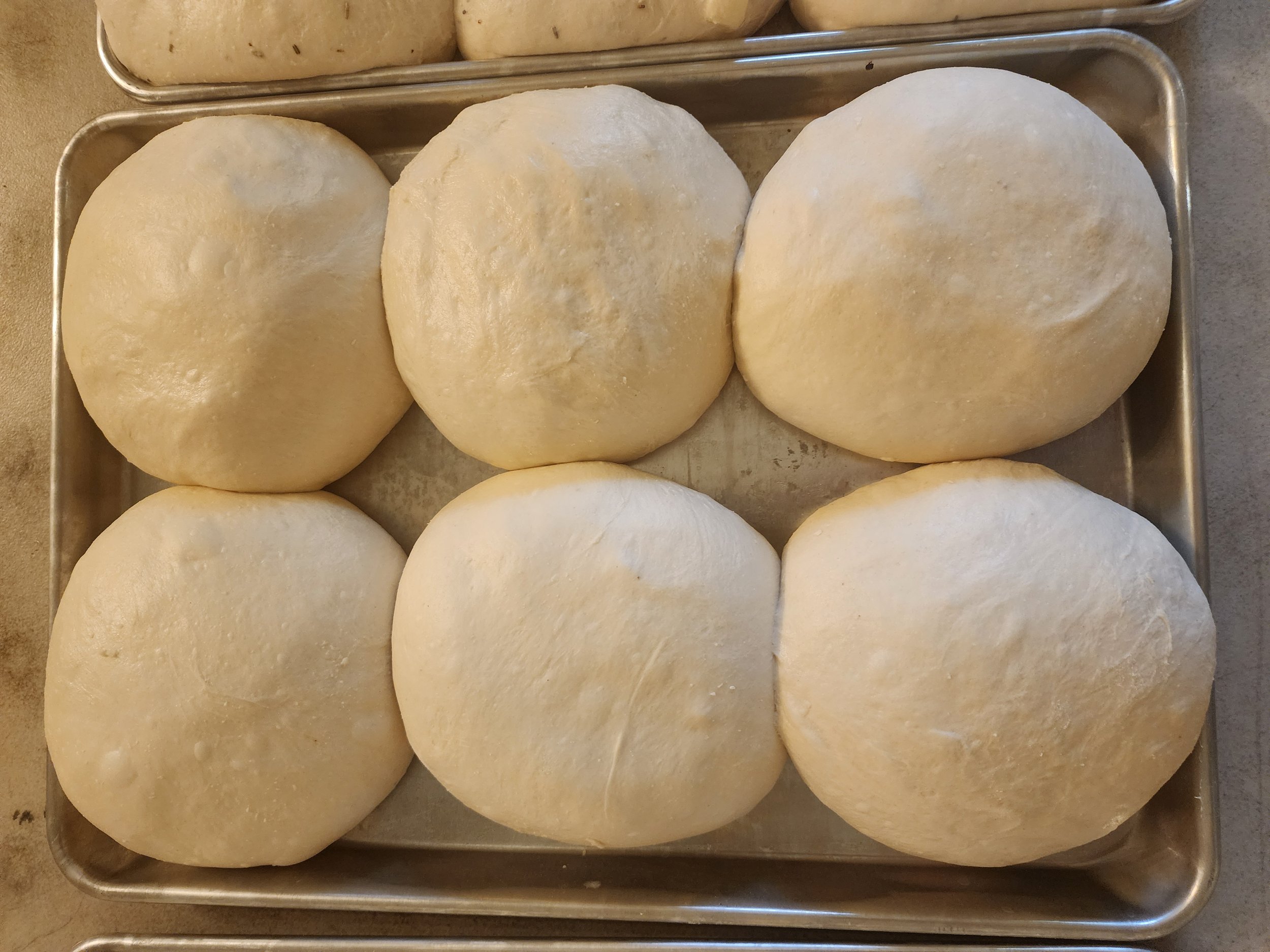 Six round bread dough balls on a baking sheet, ready for baking.