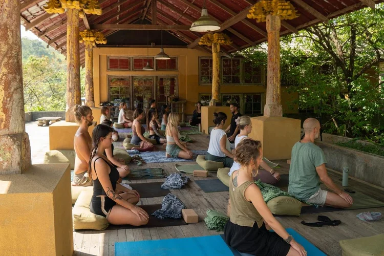 Daily Yoga
