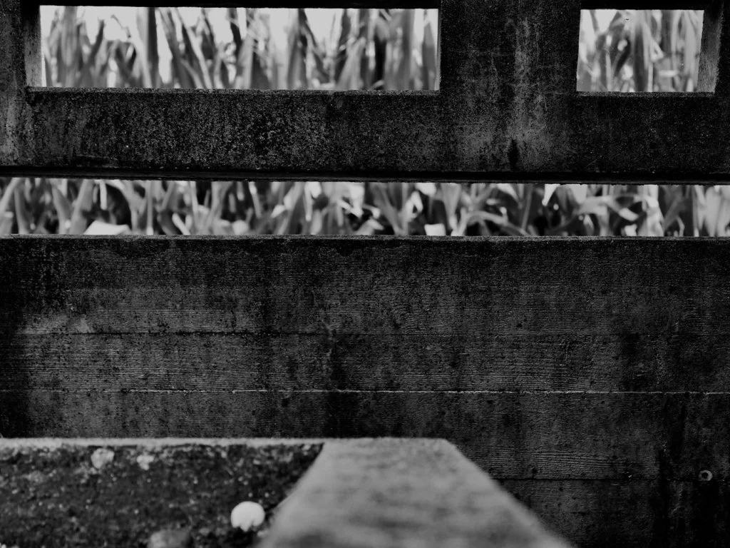 Photography Solid & Void Presentation.027.jpeg