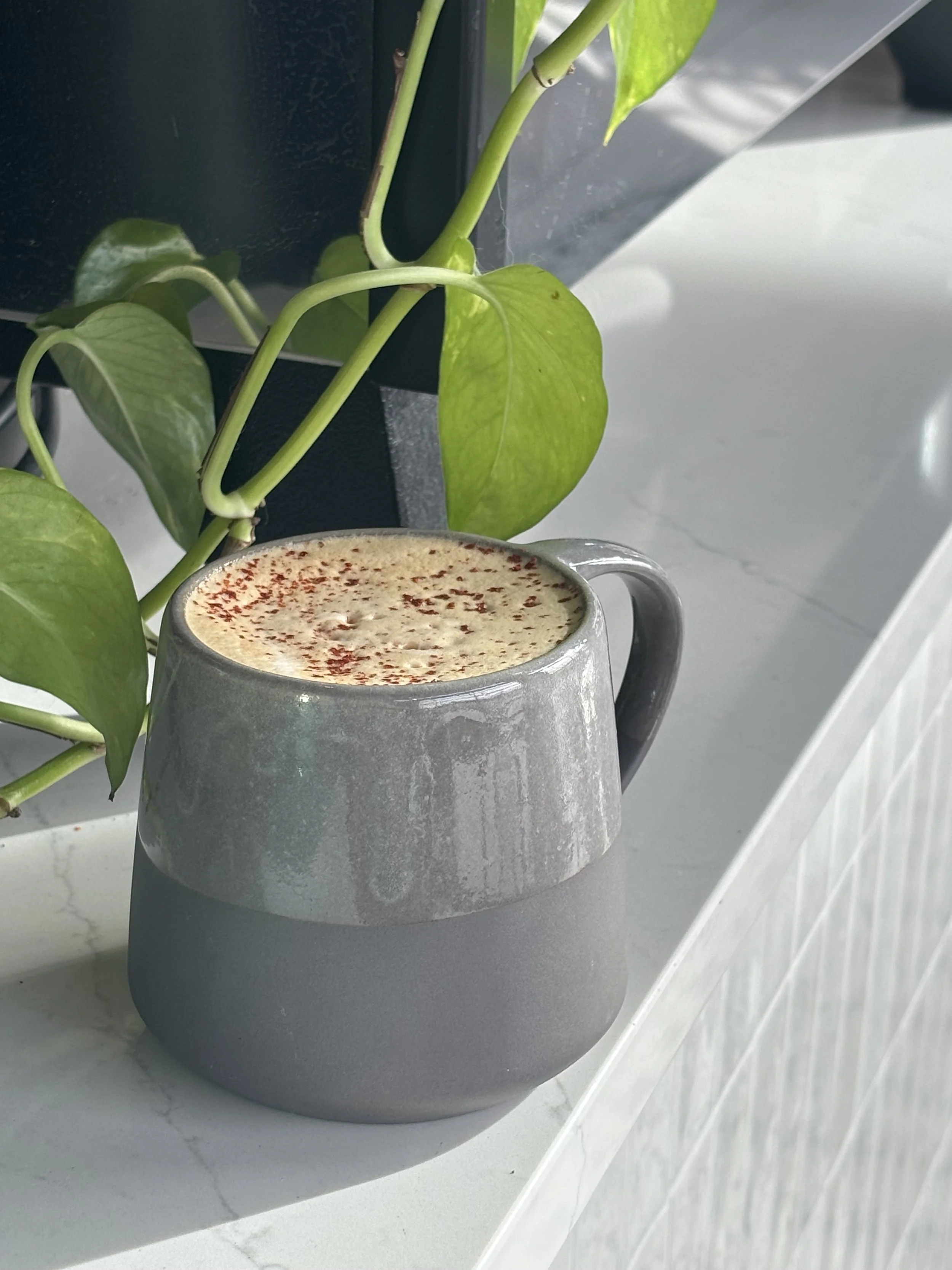A gray ceramic mug filled with a creamy beverage, topped with cinnamon, placed next to a green leafy houseplant on a white surface.