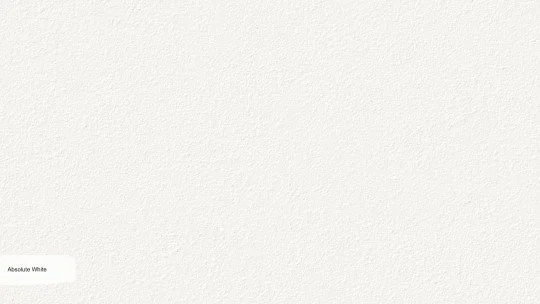 Absolute-White--zoom.jpg