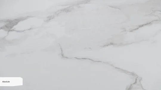 Absolute_zoom.jpg
