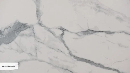 Statuario_Leonardo_zoom_v2.jpg