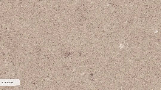 4230_ZOOM.jpg