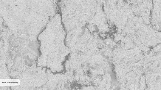 6046_ZOOM.jpg