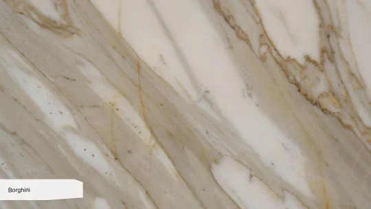 Borghini_ZOOM_0.jpg
