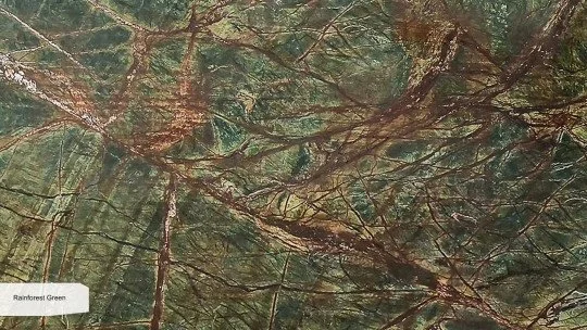 Rainforest-Green-Zoom.jpg