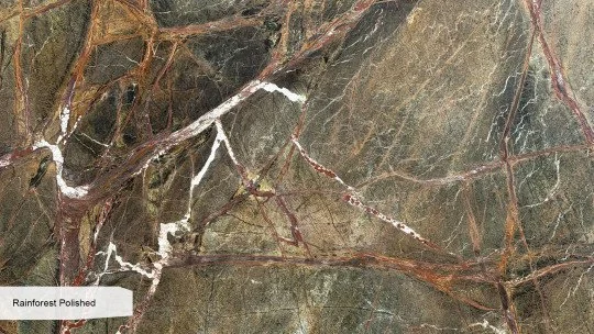 Green-Rainforest-Polished-_ZOOM_1.jpg