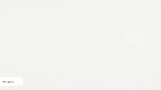1001L_Blanche_zoom.jpg