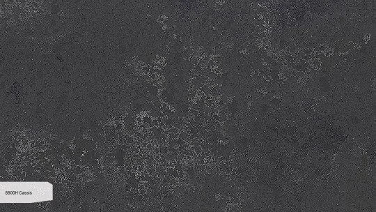 8800H_Cassis_zoom.jpg