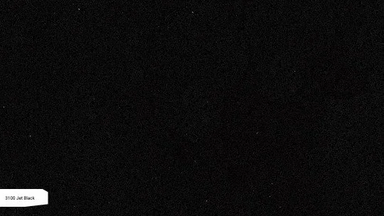 3100_ZOOM.jpg