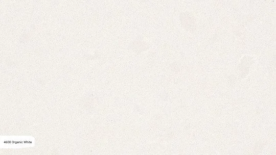4600_ZOOM.jpg