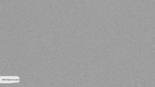 4003_ZOOM.jpg