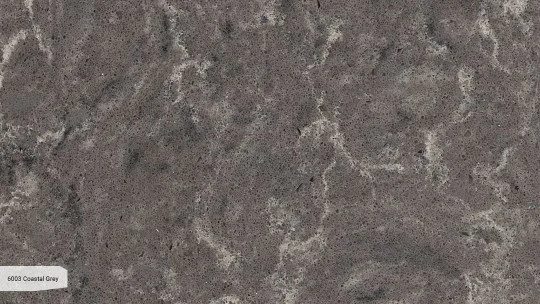 6003_ZOOM.jpg
