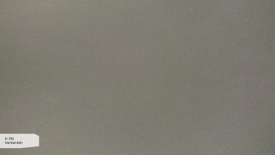 D-310.jpg