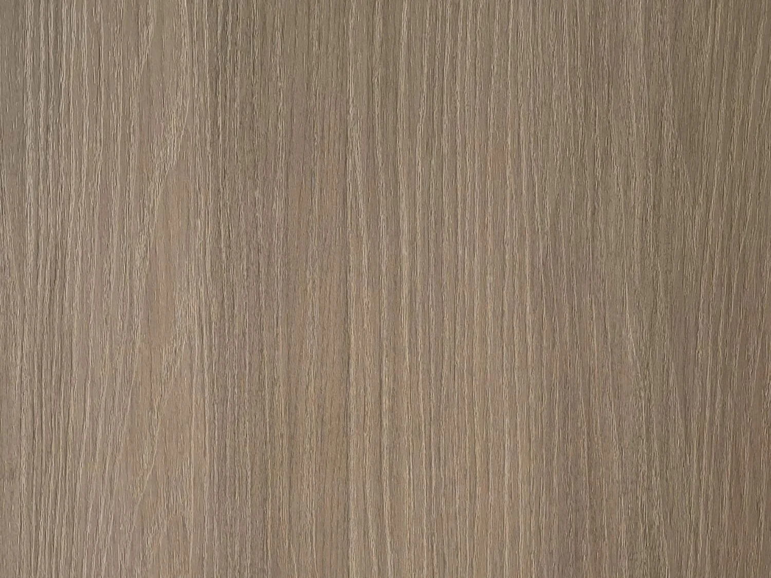 LB22-Silvanus-XyloSurfaces.jpg