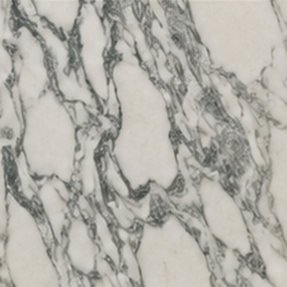 Arabescato marble sample with bold grey veining