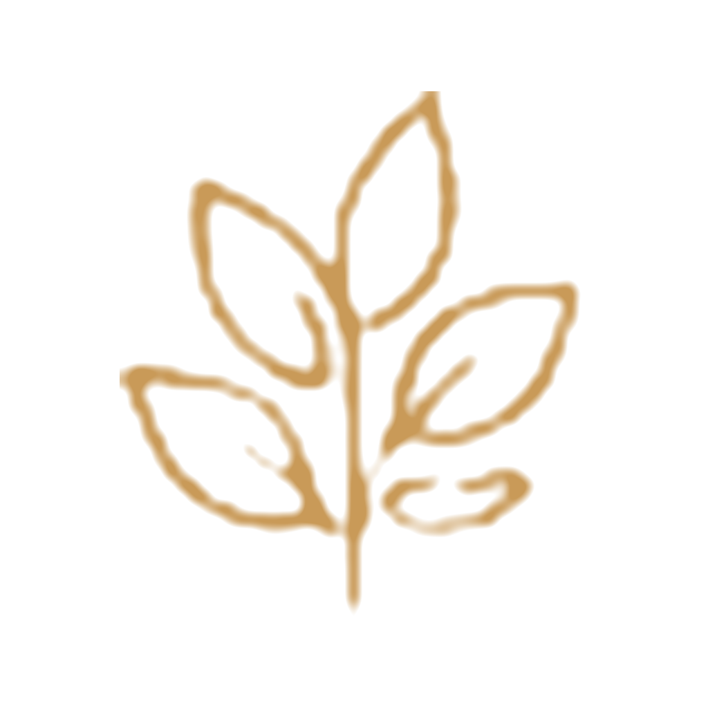 A simple, stylized illustration of a plant with five leaves, outlined in brown.
