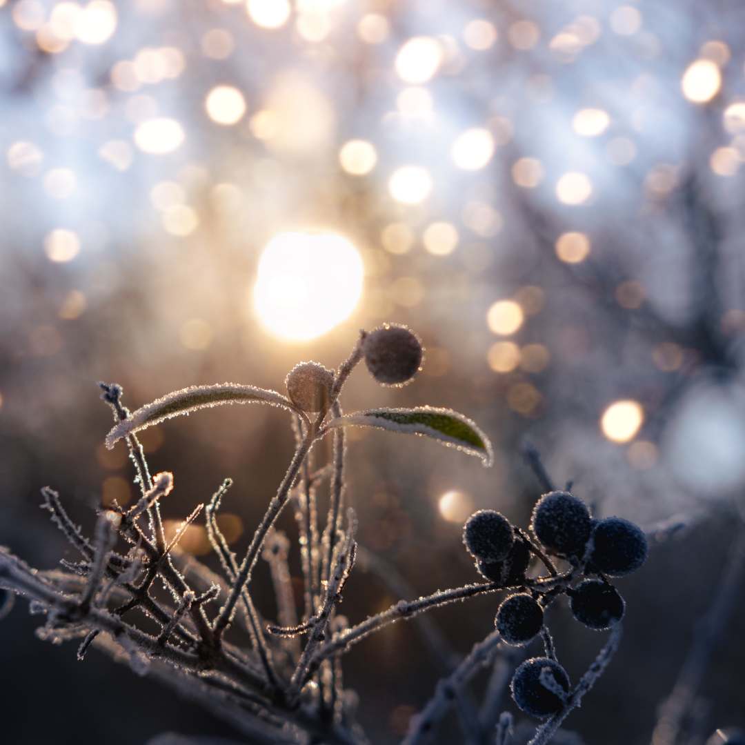 Welcome The light, Embrace The Dark by Lexie Wolf
