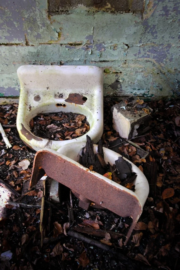 20101007-sinks_5064482847_o-protected-intensity-LOW-V2.jpg