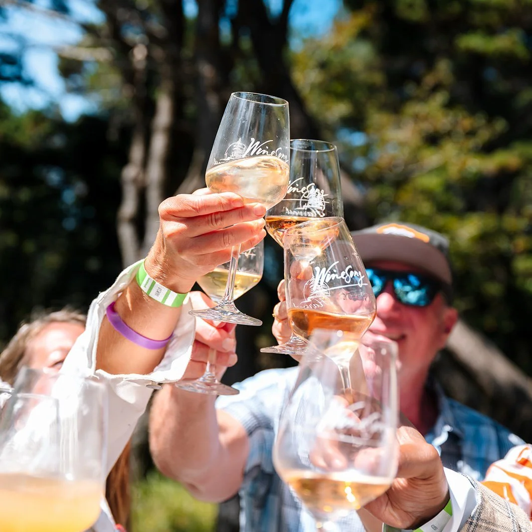 Need a last minute gift for an Easter Basket? Use code EarlyBird for 15% off tickets to Winesong. www.winesong.org