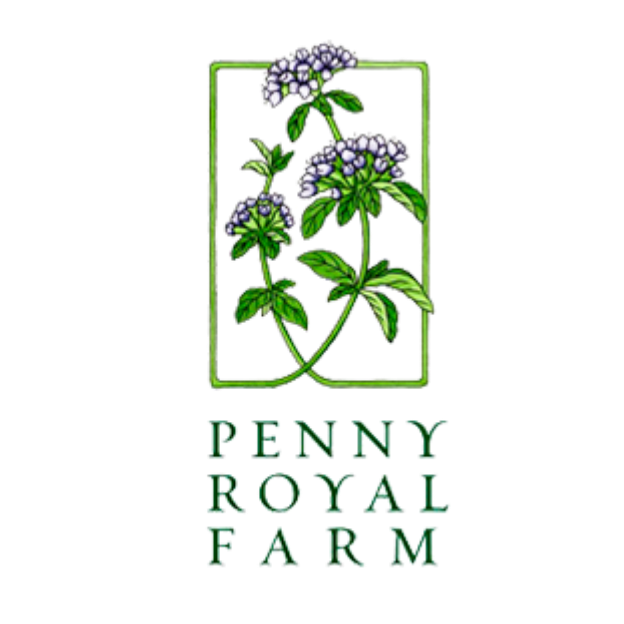 pennyroyal farm.png