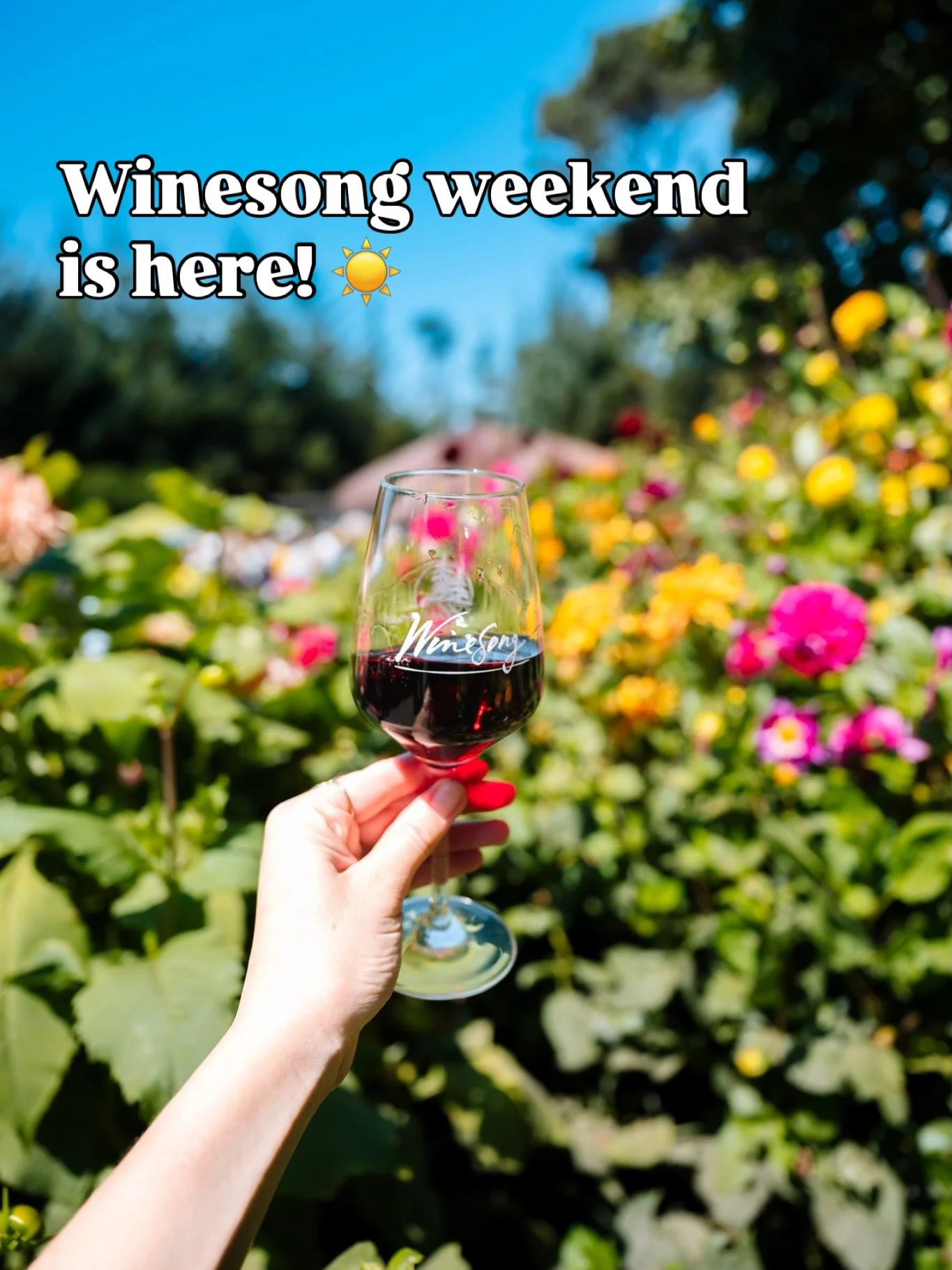 🍷🌿 Winesong weekend is here and in full swing!

Today, we welcome you to the Mendocino Coast Botanical Gardens for an unforgettable day of incredible wine, food, music, and community.

Join us among the blooms for the Grand Tasting, followed by our