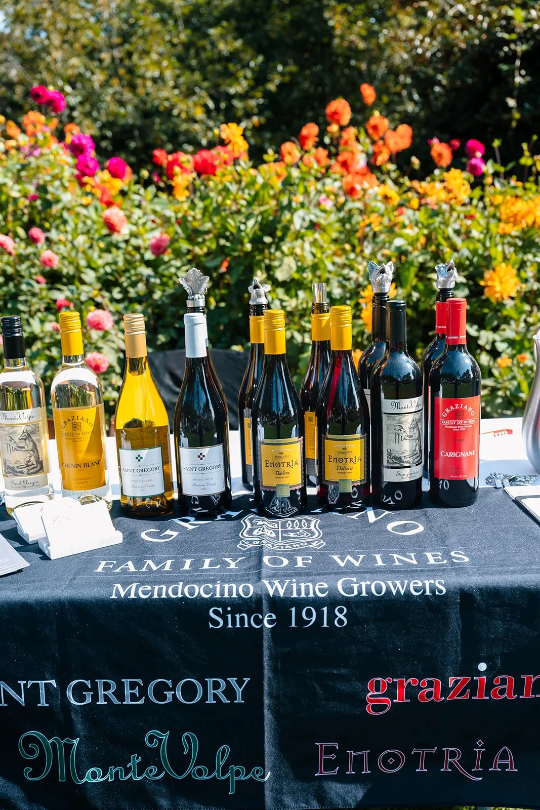 Winesong Wine Festival 2026, wine bottle on display