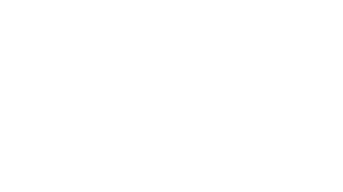 Professional Flooring Denver
