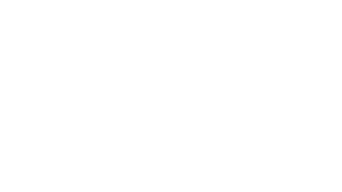 Professional Flooring Denver