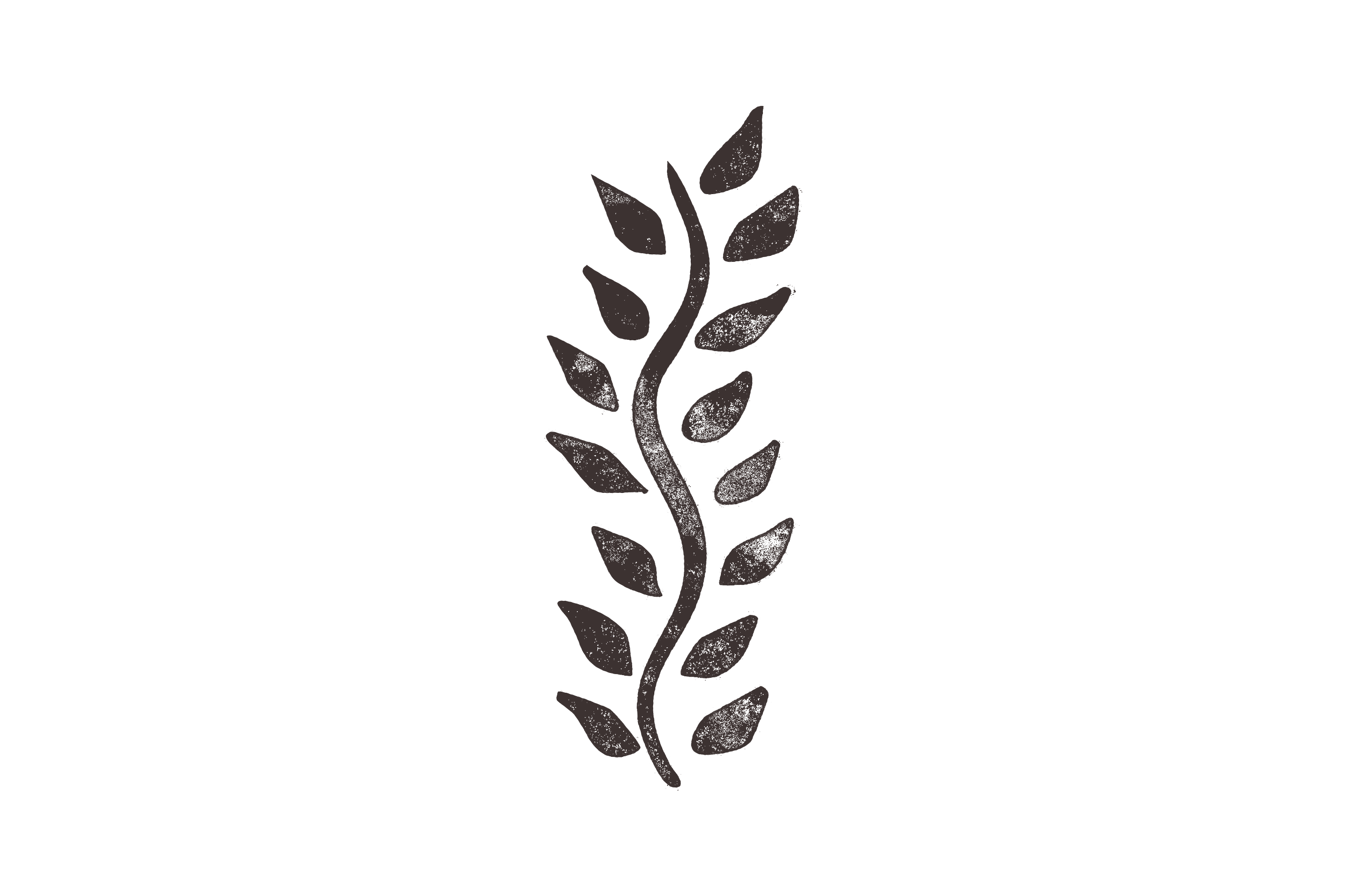 Sketch of a vertical branch with elongated leaves against a black background.