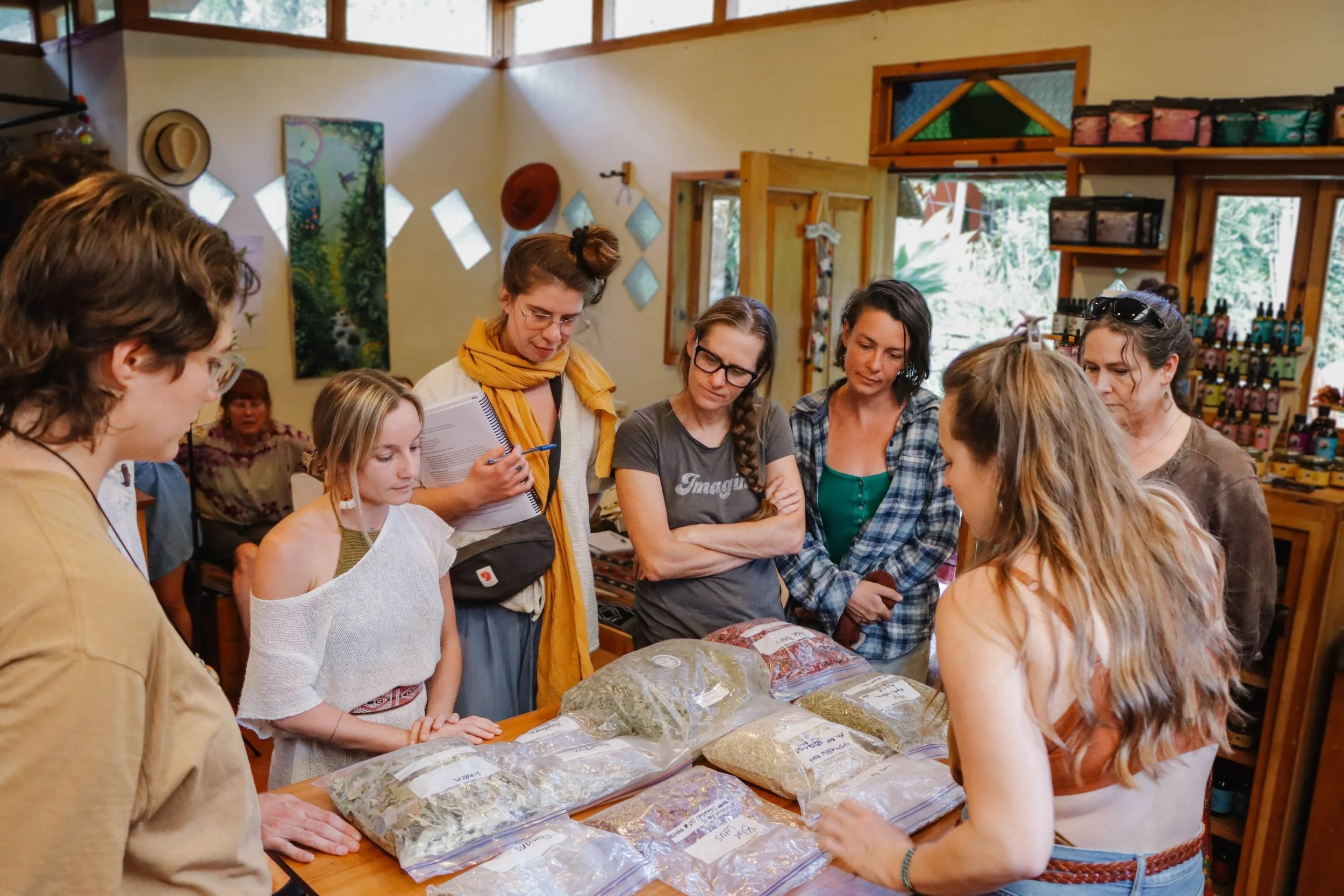 Group of people gathered around a table with various herbs and dried plants in plastic bags inside a warmly lit room with large windows, artwork, and wood accents.