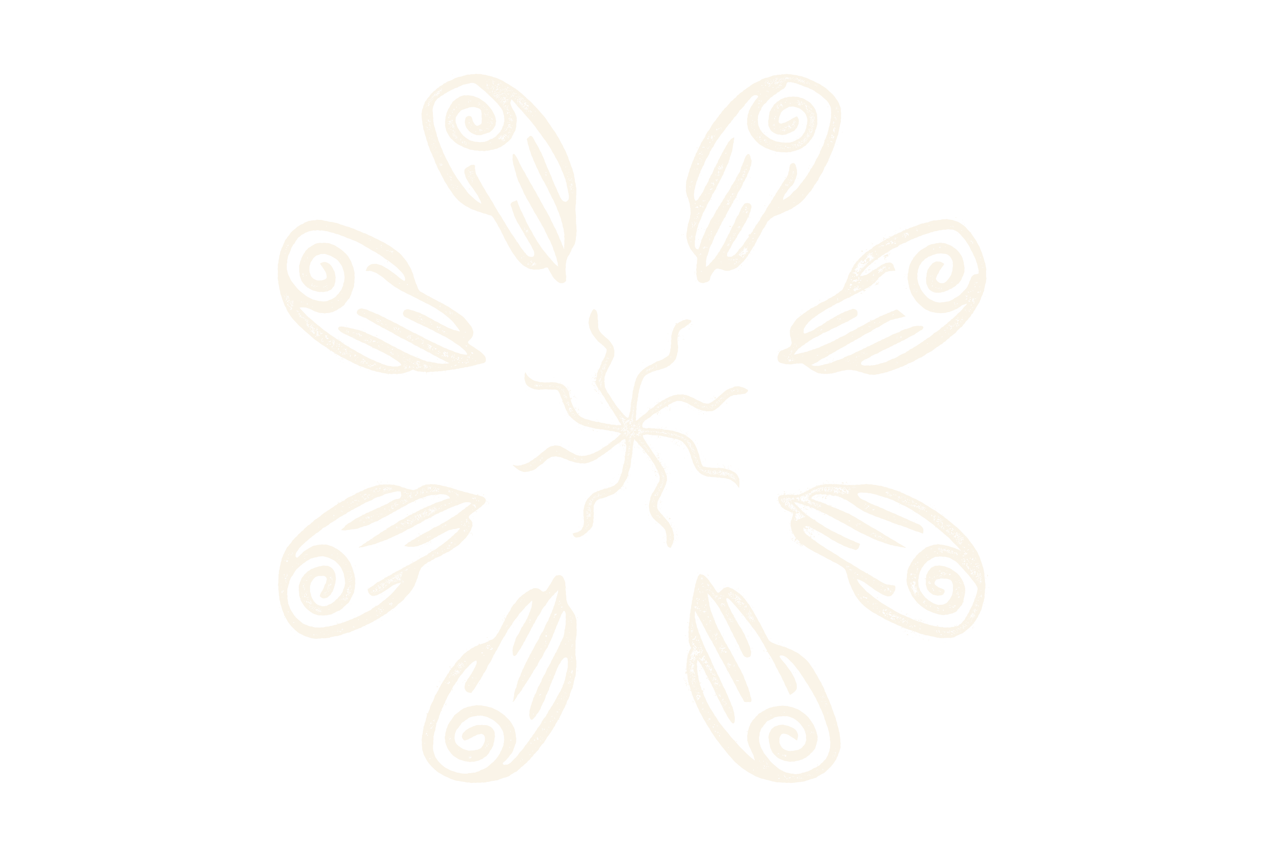 A black background with a symmetrical pattern of white, stylized butterfly or moth wings arranged in a circular formation.