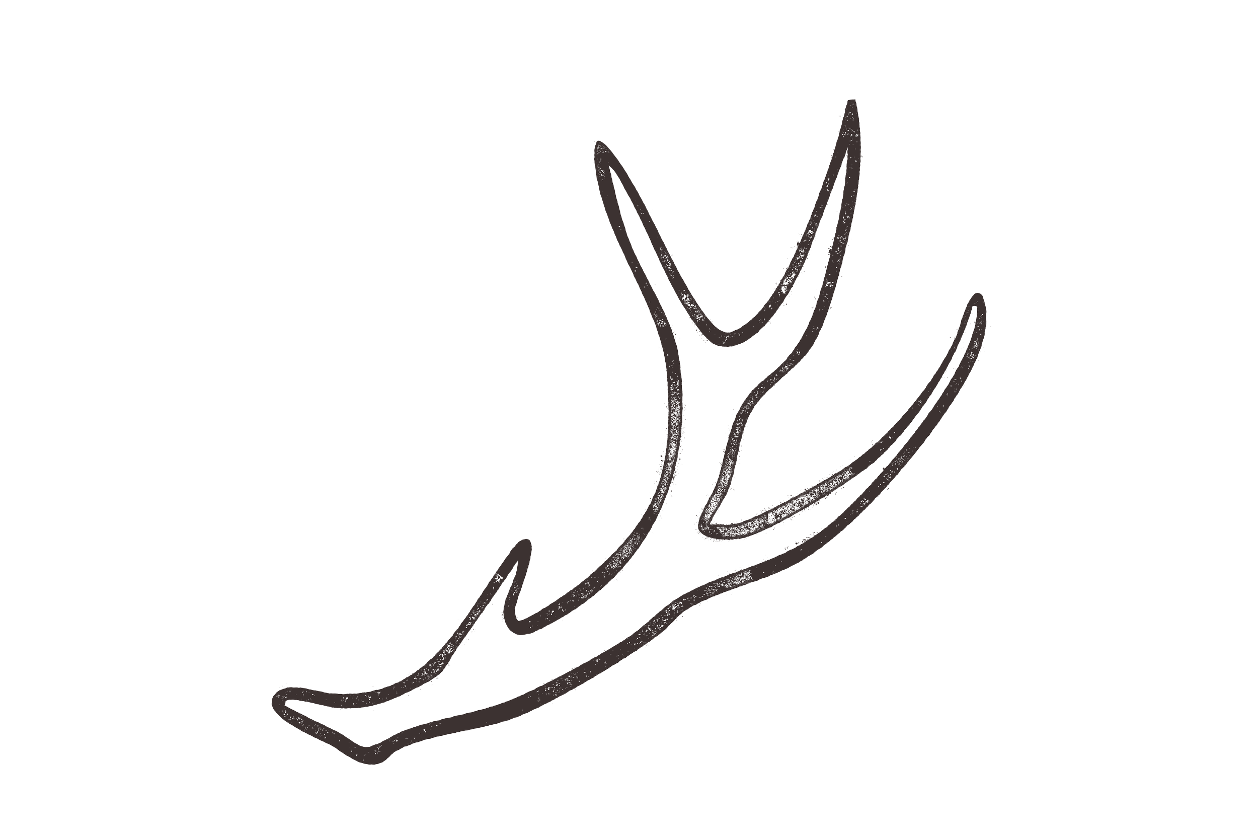 Outline of a hand with stylized lines resembling a plant or leaves emerging from it.