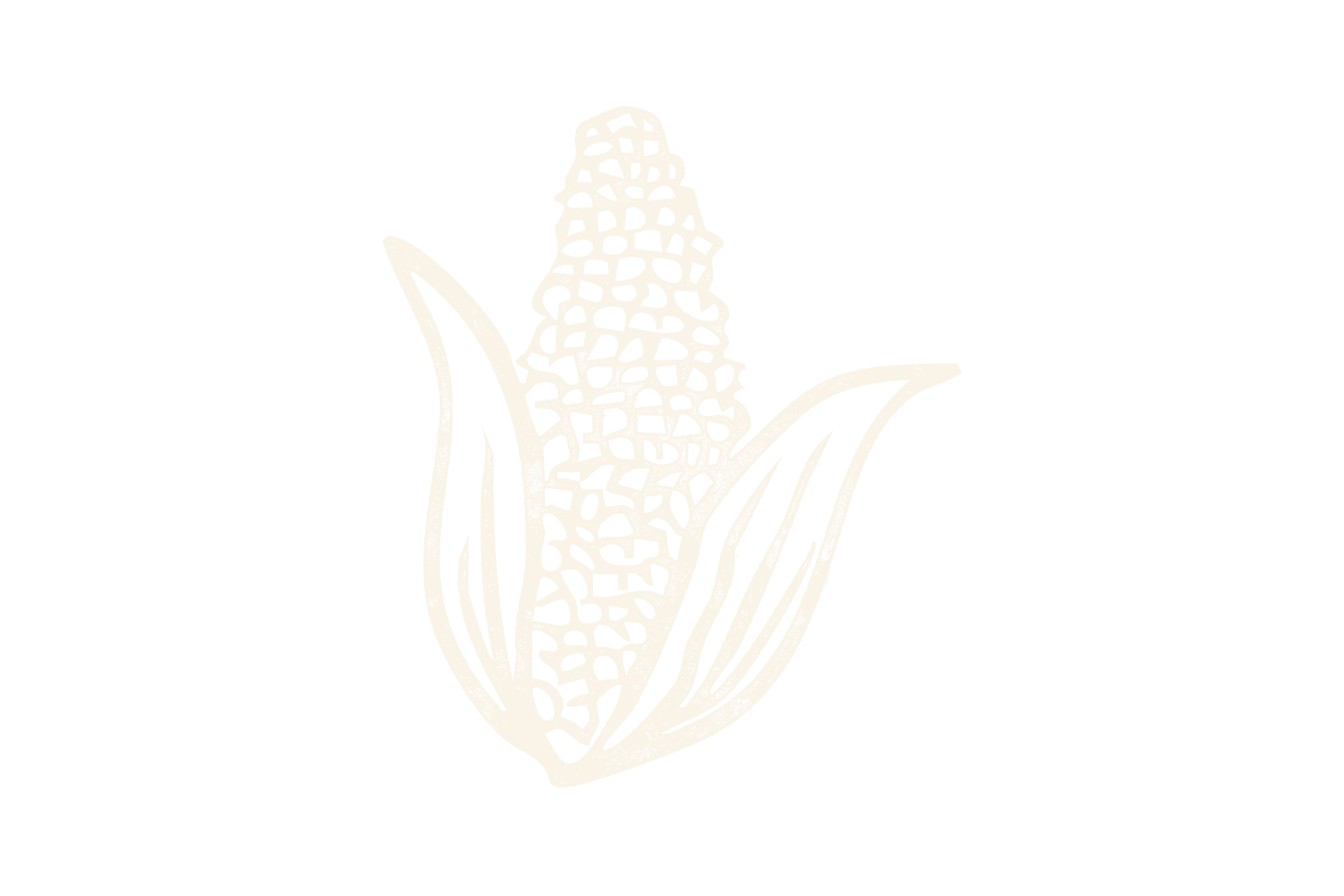 A black and white illustration of an ear of corn with leaves.