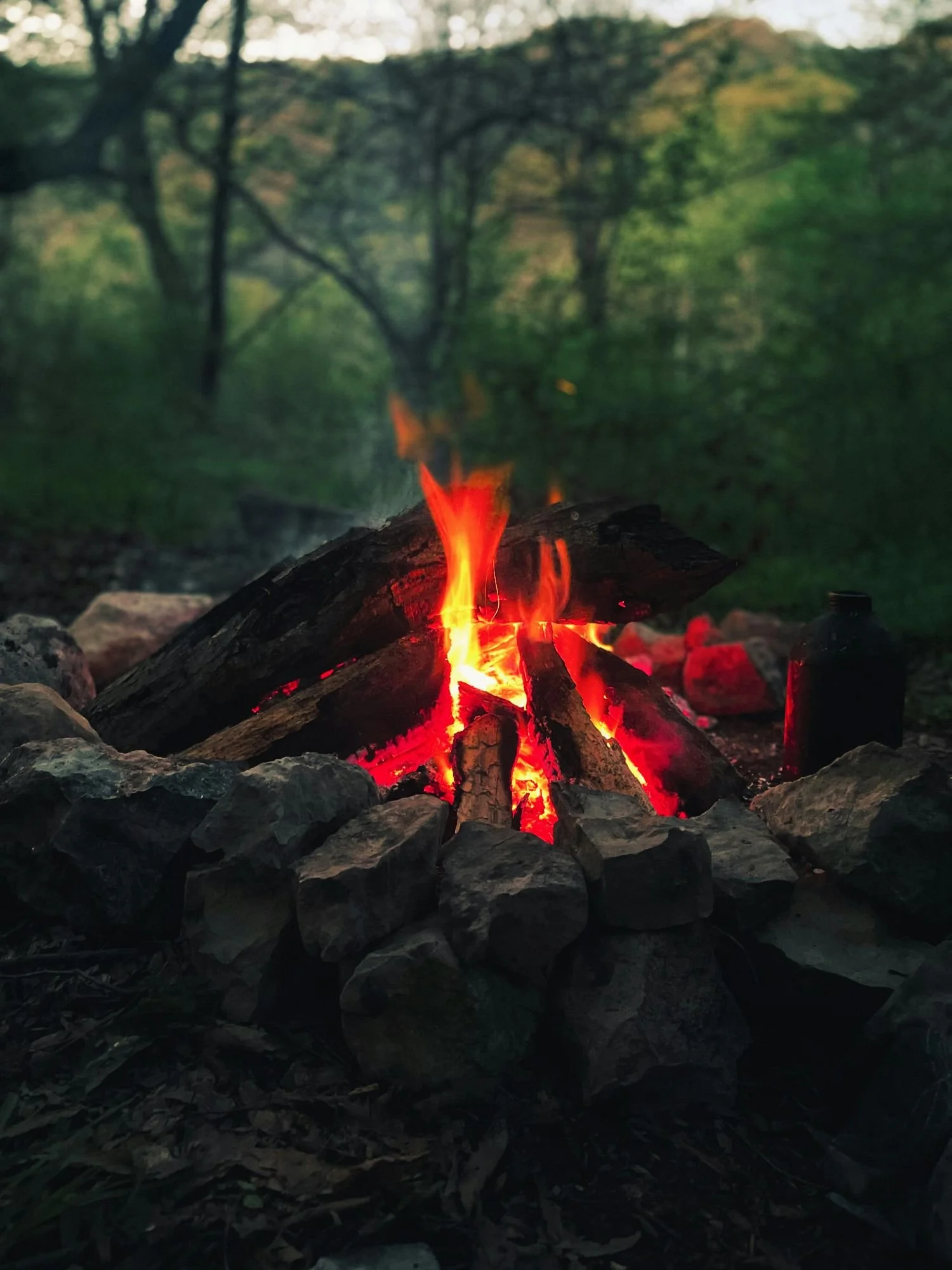 Campfire burning in a circle of rocks in a wooded outdoor area during twilight.