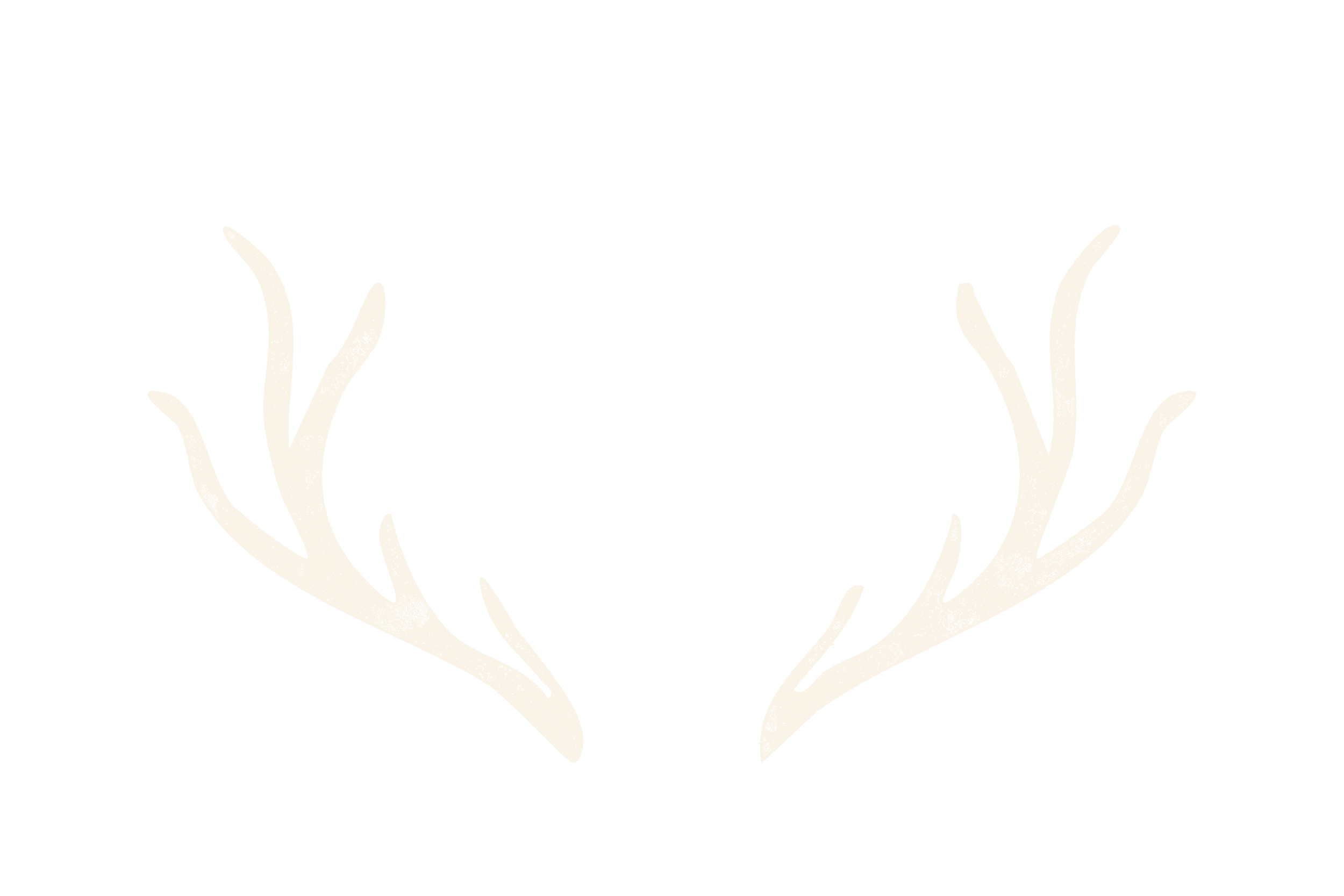 Outline drawing of deer antlers on a black background.