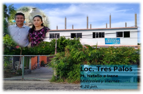 TresPalos+Expo.webp